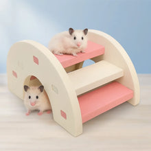 Regnbågsbro för Hamster