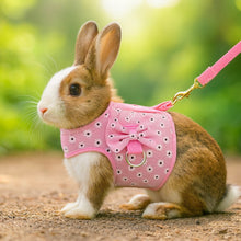 Kaninsele med rosett & koppel