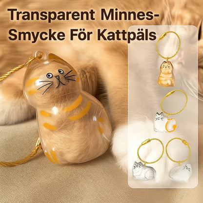 Transparent Katthårsförvaringsbox