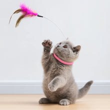 Kattkrage med Fjäderleksak – Självlek för Aktiva Katter