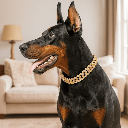 Lyxig Hundkedja i Guld