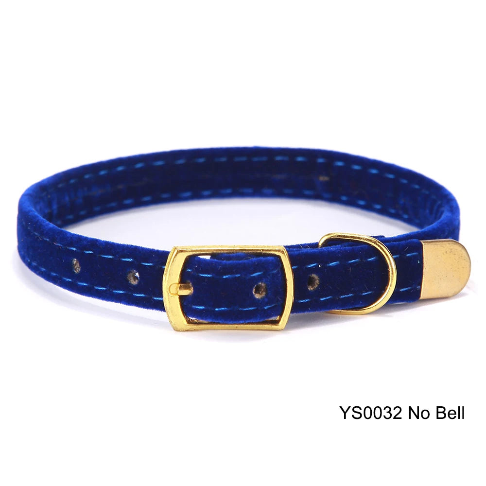 Katthalsband med Bjällra