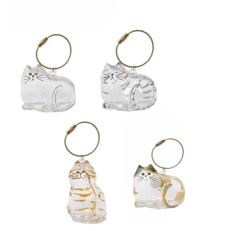 Transparent Katthårsförvaringsbox