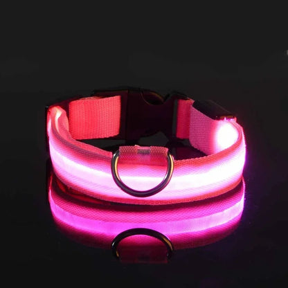 LED Halsband