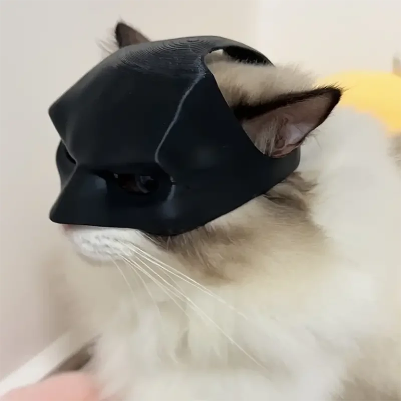 BatCat Mask