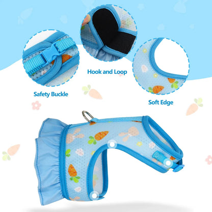 Kanins sele med koppel