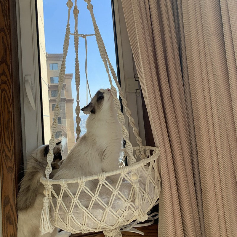 Hängande Kattgunga i Bomull