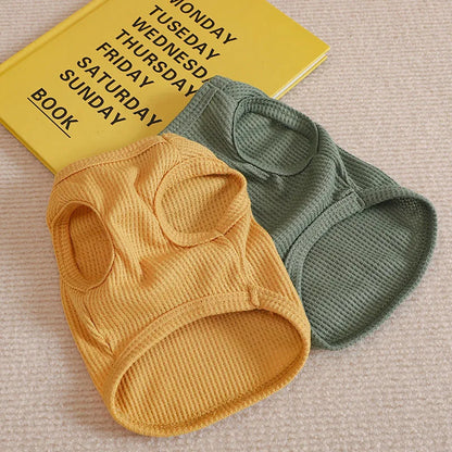 Björntröja för Katt & Liten Hund